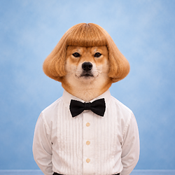PROFSHIB