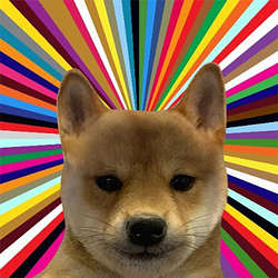 WAGMIDOG