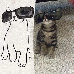 SHADES