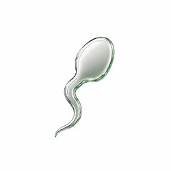 SPERM / WETH
