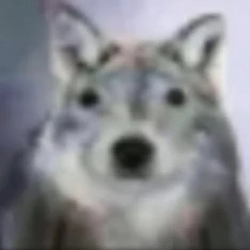 WOLFCHUA / USDC