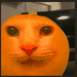 fruitcats