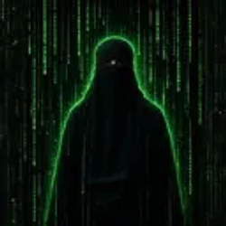 Burqa