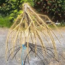 Stick / SOL