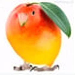MANGOBIRD