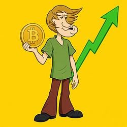 cryptshgg