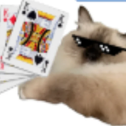 英伟达github 中的CAT-K