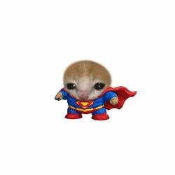 SUPERMINI