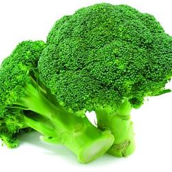 BROCOLLI / SOL