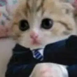 FCAT