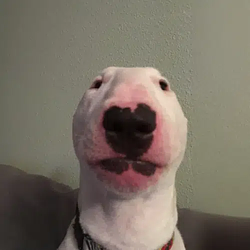 HEY