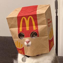 MCZ
