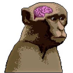 monkey