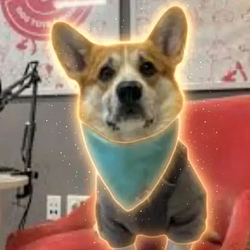 Corgington