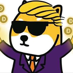DSB