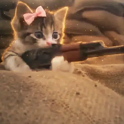 guncat