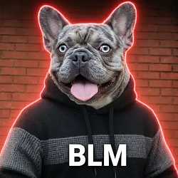 BLM / SOL