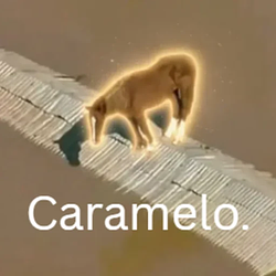 Caramelo / SOL