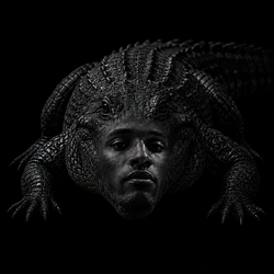 CROCSEM