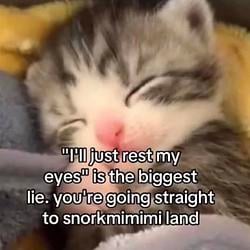 snorkmimimi