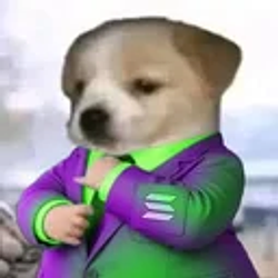 MEMECOINER
