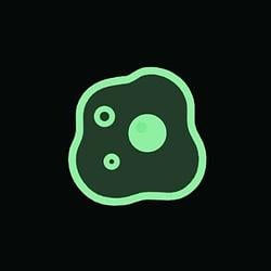 amoeba
