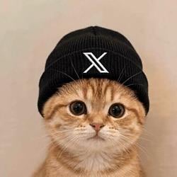XCAT