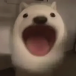 Thunder
