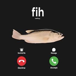 FIHCOIN