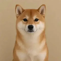 NI