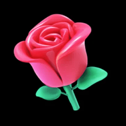 Rose / SOL