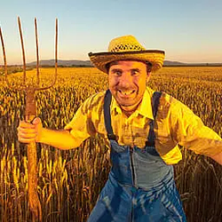 FARM