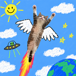 FlyCat