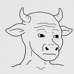 BULLJAK / SOL