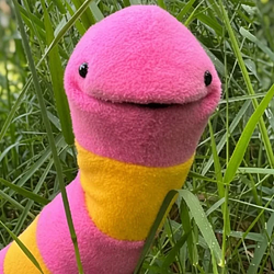 Edworm / SOL