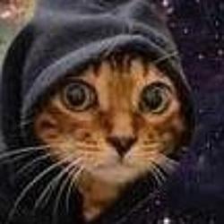HOODCAT