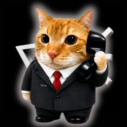 CALLCAT