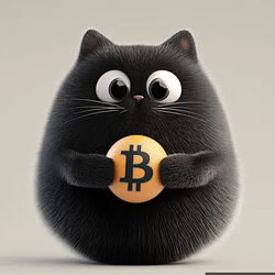 bitcat