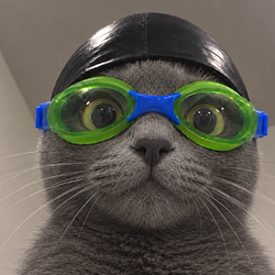 CATSWIM