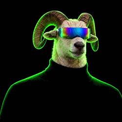 ram
