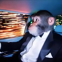 MONKBIZ