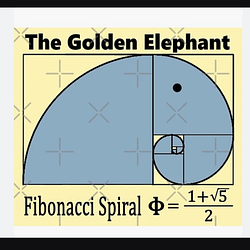 FIB / SOL