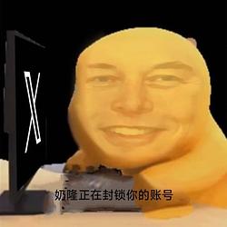 封你號——ElonMusk / USDC
