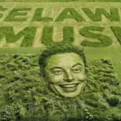 ELAWN
