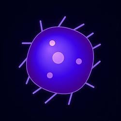 BLOB / SOL