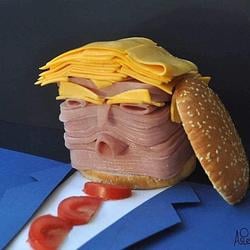 Trump / SOL