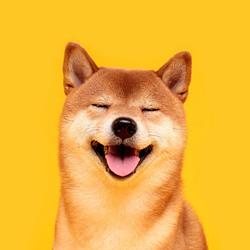 Super Inu