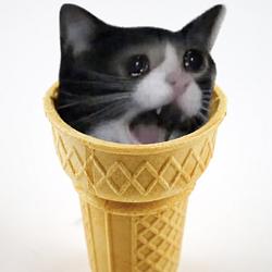 icescream / SOL
