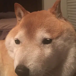 Cooper