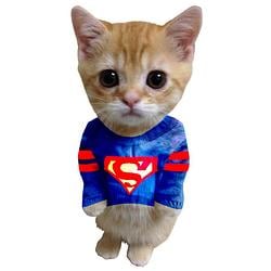 sup